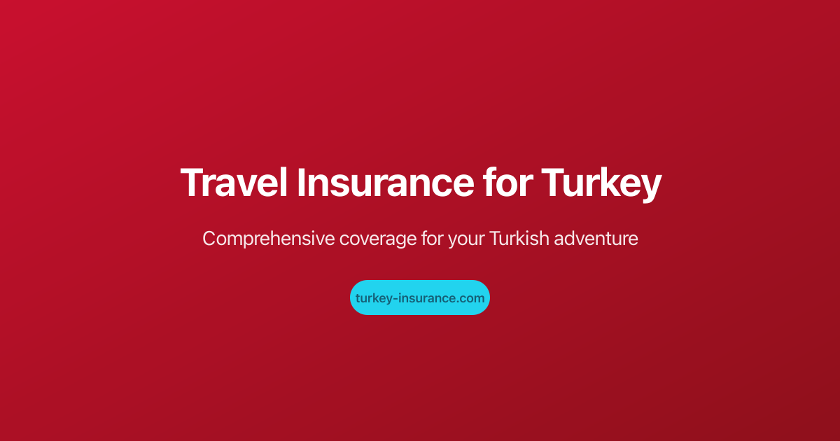 Turkish e-Visa Guide: Application, Cost & Insurance